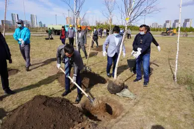 Серик Сапиев, Гюзель Манюрова и другие чемпионы посадили деревья в Ботаническом саду 