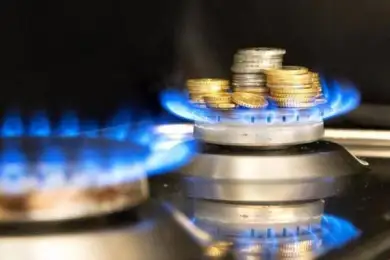 «Низкие цены на газ приводят к нерациональному использованию» - Акчулаков 