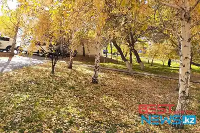 Осадки и потепление: погода по Казахстану на 24-26 октября 