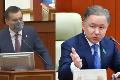 Нигматулин-Брекешеву: "...Пока вы специалист по тюленям, а не по экологии"