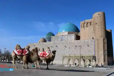 В Туркестанской области запретили пожилым людям выходить на улицу – постановление