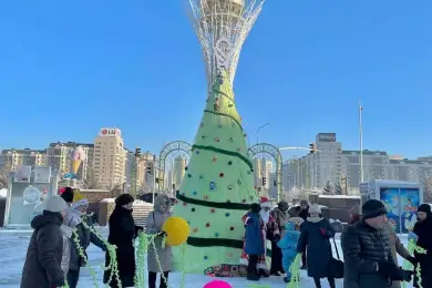 Эко-елку, связанную жителями нескольких стран, установили в столице Казахстана 
