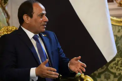 Президент Египта попросил граждан не рожать больше двух детей 