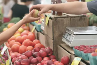 «Потом обрастает наценками»: глава МСХ объяснил рост цен на овощи-фрукты перед новым годом 