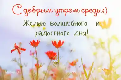 С добрым утром! Пусть ваша среда радует вас!