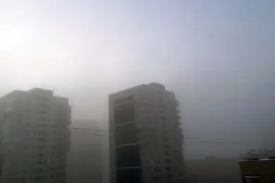 В Нур-Султан густой туман, плохая видимость на дорогах 