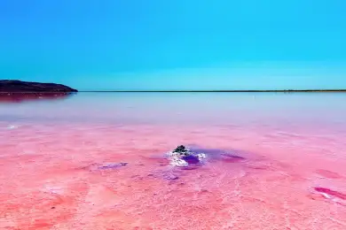 «Розовое» озеро Кобейтуз назвали вредным для людей - Мирзагалиев 