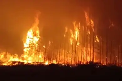 После лесных пожаров в Костанайской области наняли 400 лесников  - Аксакалов 