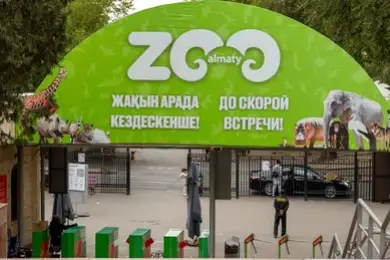 В зоопарке Алматы умер медведь: животное купили больным 