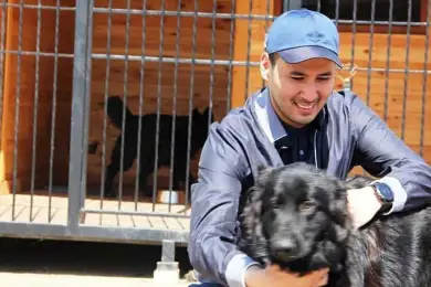 «Я своих собак никому не отдам» - мажилисмен Ходжаназаров рассказал о любимых животных 