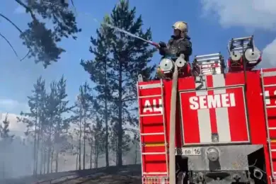 Пожар в «Семей орманы» уничтожил 250 га леса 