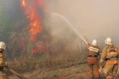 Сильный пожар в Абайской области: огонь пришел из России 