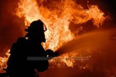 Пятеро детей погибли на пожаре: в МЧС назвали версию гибели 