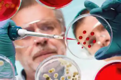 Цой рассказал, какой штамм коронавируса опасней для казахстанцев