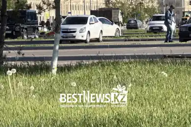 В Астане похолодает, в Алматы и Шымкенте - жара