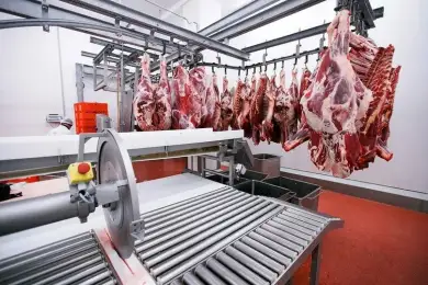 Продают ли в Казахстане мясо павшего во время паводков скота 