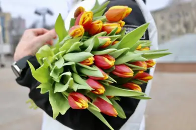В Астане будут дарить тюльпаны на улице - акимат 