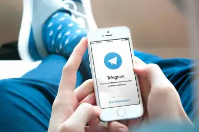 Глава МИОР ответила на вопрос о запрете анонимных Telegram-каналов 