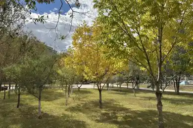 Казгидромет сообщил о погоде на три дня в Астане, Алматы, Шымкенте