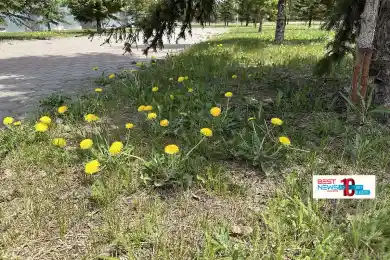 Май завершится дождями – погода по Казахстану до 1 июня