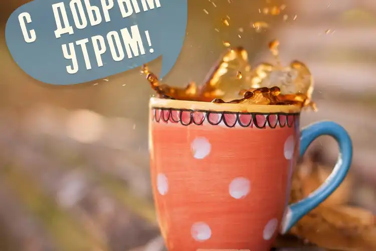 Bestnews.kz желает позитивного понедельника! 