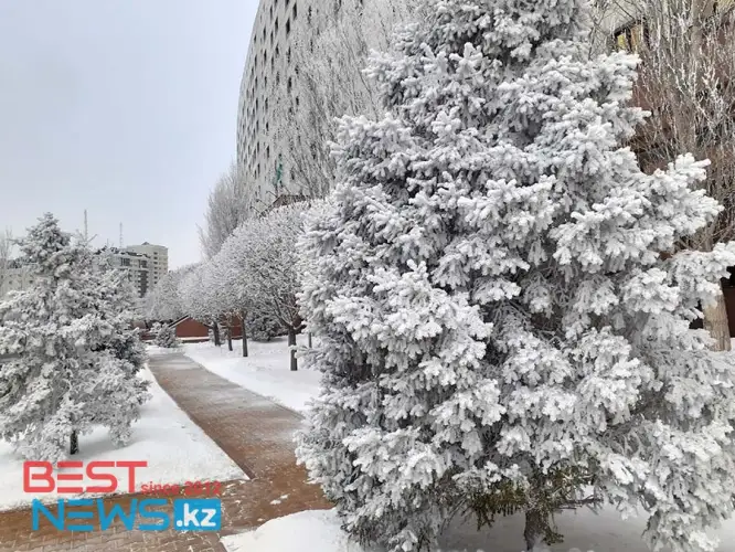 Какой будет погода на Новый год в Казахстане