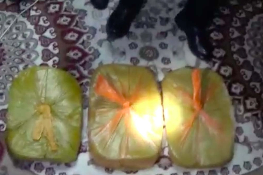 В Нур-Султане полиция изъяла партию наркотиков на 30 млн тенге - видео  
