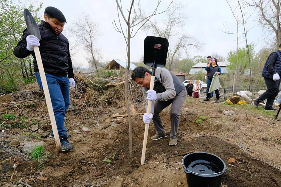 Как аким Алматы Досаев сажал деревья и расчищал газоны - фото 