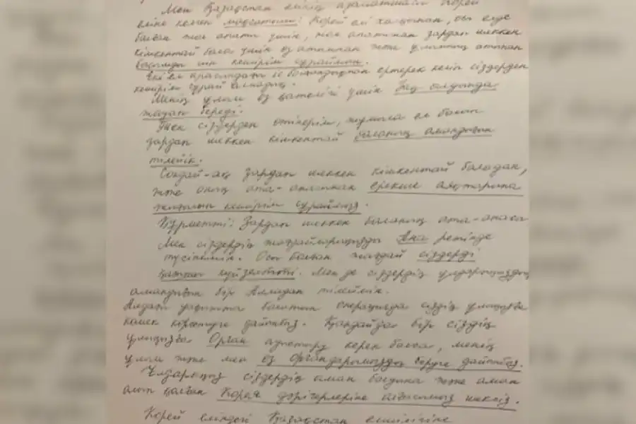 Мать казахстанца, сбившего ребенка в Корее, попросила прощения  