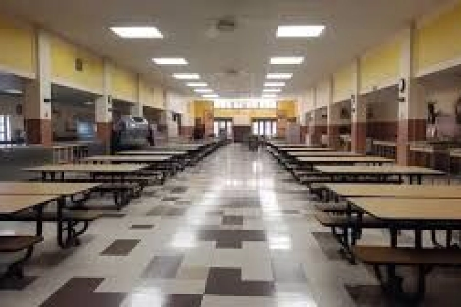 Тараканы в еде для школьников: какие меры приняли в Петропавловске 