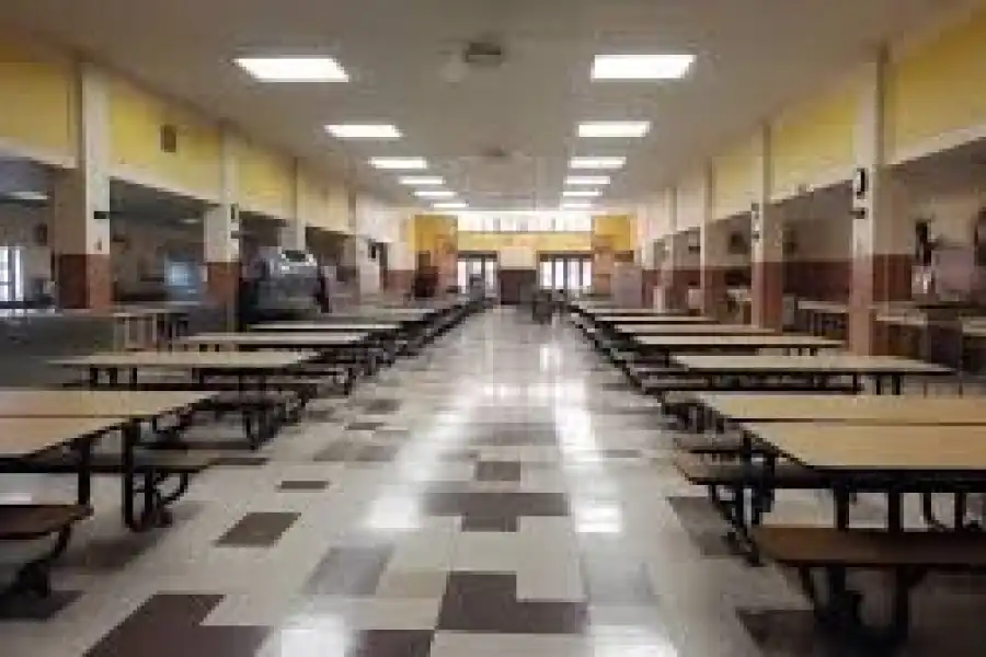 Тараканы в еде для школьников: какие меры приняли в Петропавловске 