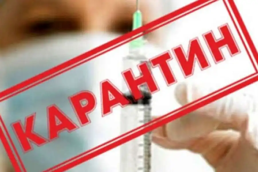 В Нур-Султане и Алматы вводится карантин 