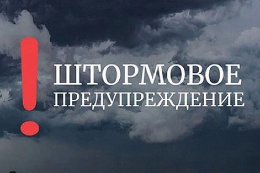 Из-за сильного ветра чиновники Астаны обратились к родителям школьников 