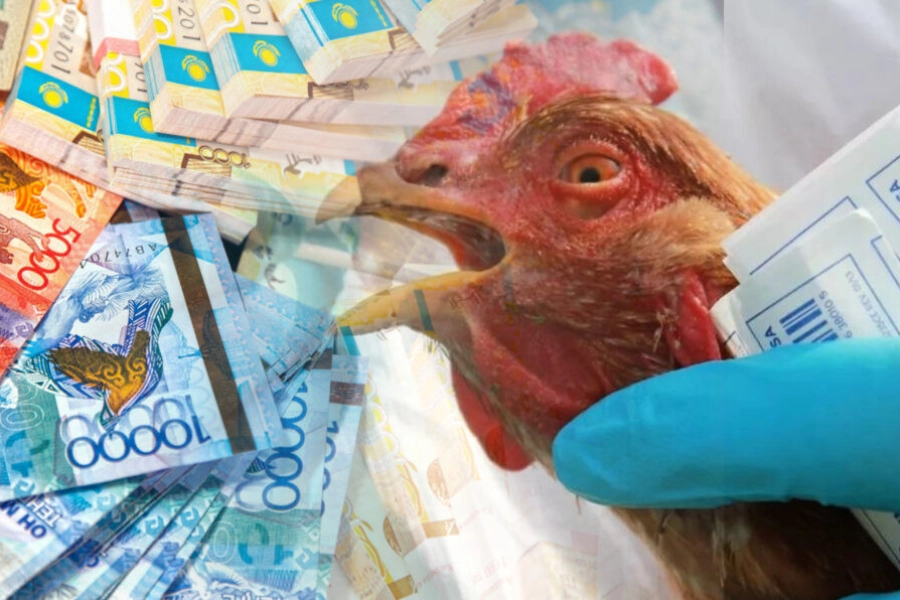 Минсельхоз РК просит дополнительных средств для компенсаций за убытки от птичьего гриппа 