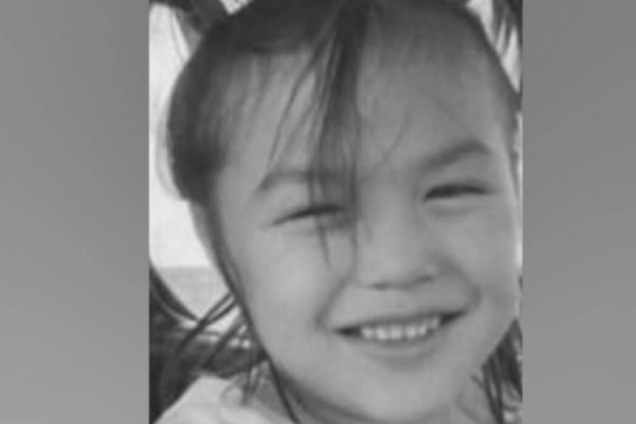 Пропавшую в Костанайской области 5-летнюю Мадину нашли мертвой 