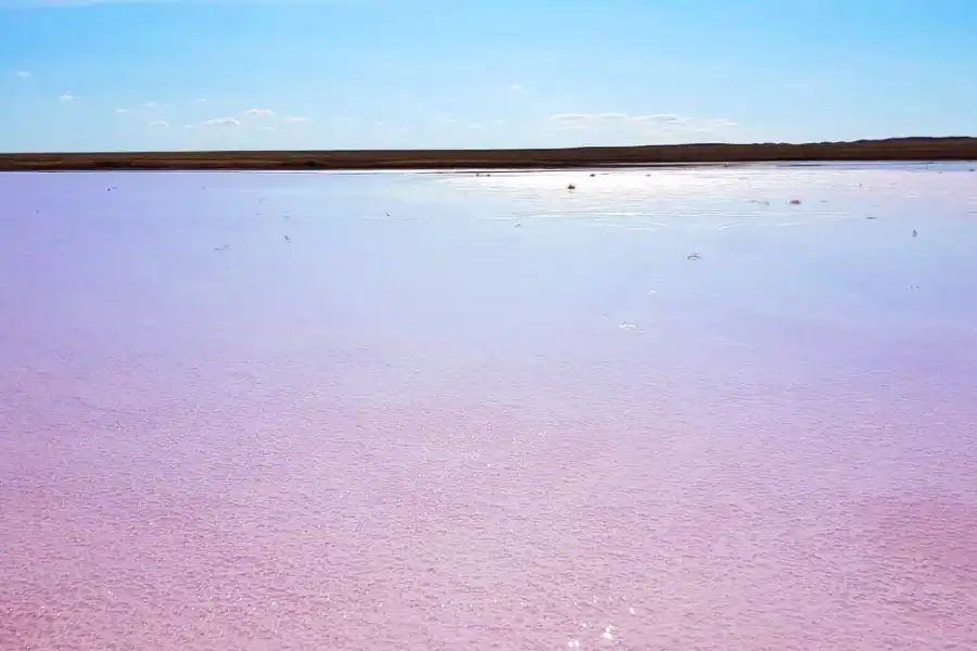 Доездились: акимат запретил поездки на знаменитое "розовое" озеро 