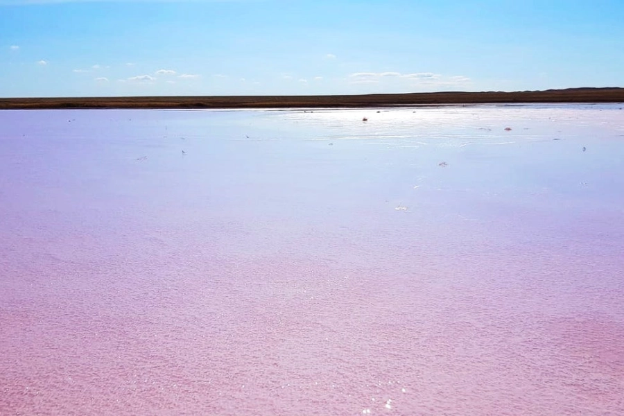Доездились: акимат запретил поездки на знаменитое "розовое" озеро 