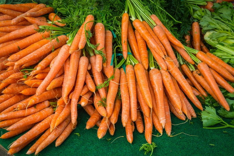 «Казахстан переплачивает за дорогой импорт моркови из Узбекистана» - Султанов 