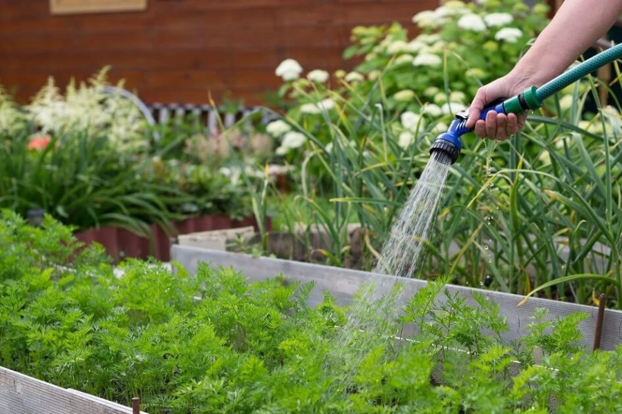 Дожили: астанчанам предложили покупать воду для полива огородов 