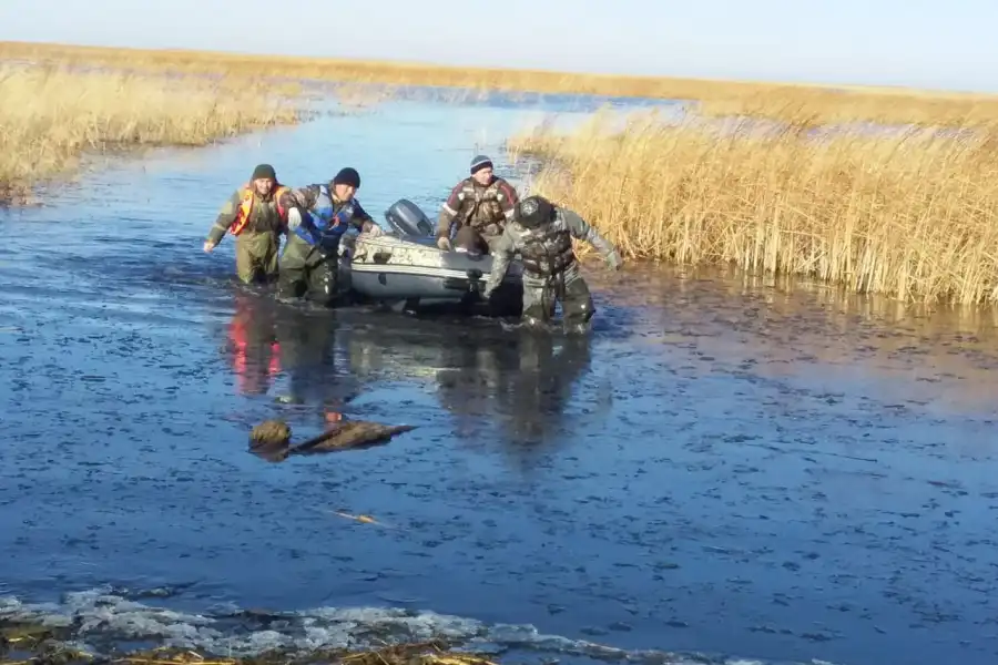 В Акмолинской области после двухнедельных поисков нашли тело утонувшего рыбака 
