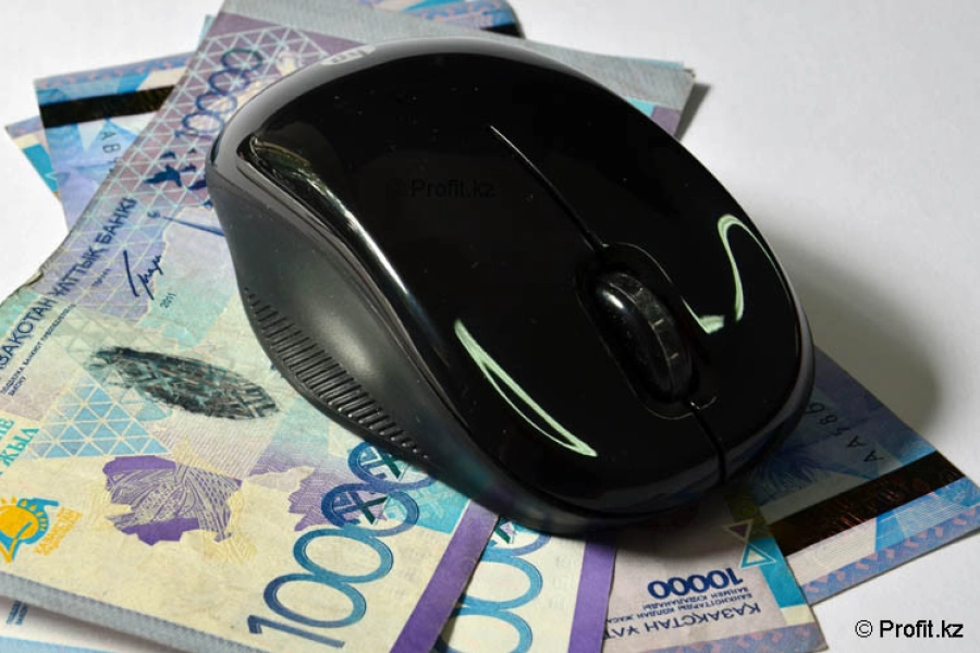 Мамину рассказали, как Интернет-мошенники похищают деньги казахстанцев 