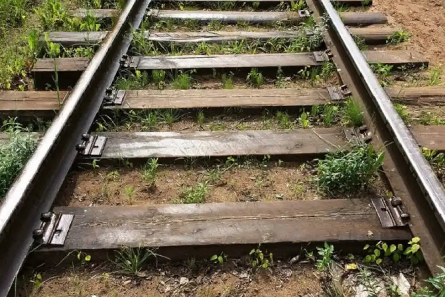 На участке "Отар-Алматы-1" поезд сбил двух людей 