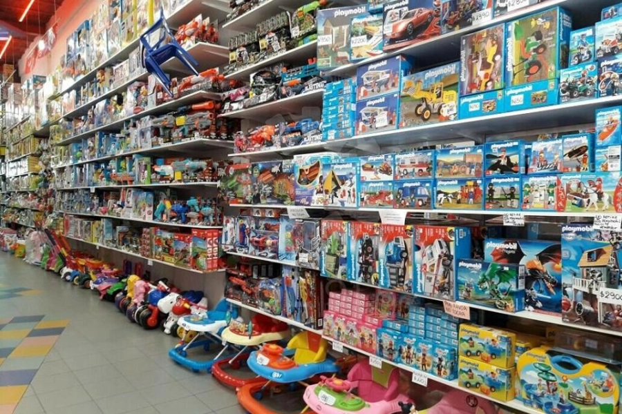 В пяти магазинах Алматинской области продавали опасные игрушки 