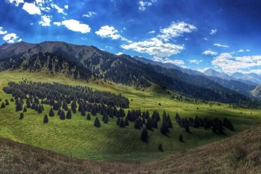 Токаев: Запрещаю заниматься проектом "Кок-Жайлау" 
