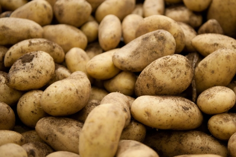 Почему Казахстан снова импортирует картофель и есть ли угроза продбезопасности 