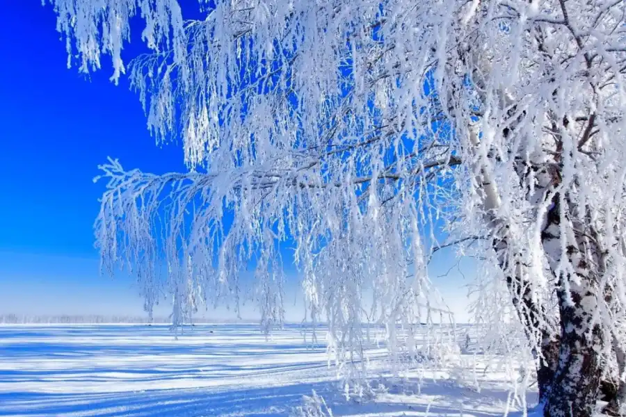 Морозы до -25 градусов идут на Казахстан 