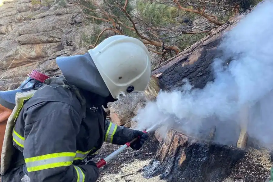 220 пожарных боролись с огнем в Жасыбайском районе 
