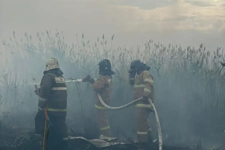 Пожар под Астаной не удается потушить, на помощь едут пожарные из двух областей  