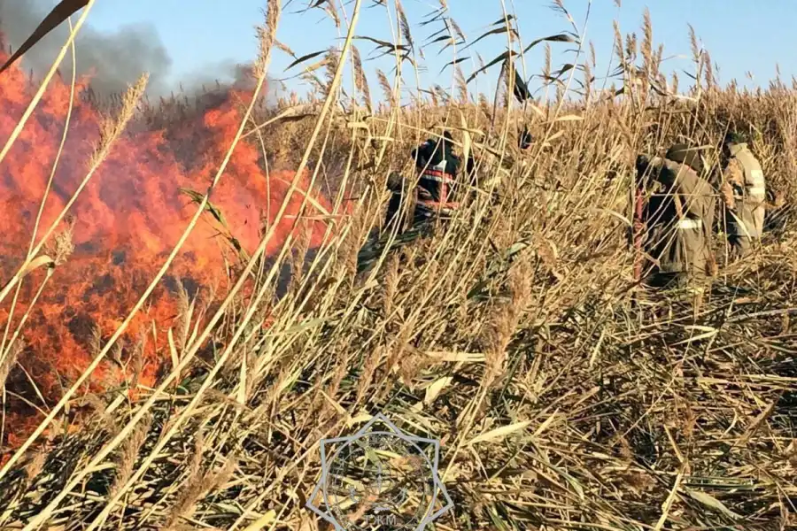 Близ Атырау пятый день тушат горящий камыш 