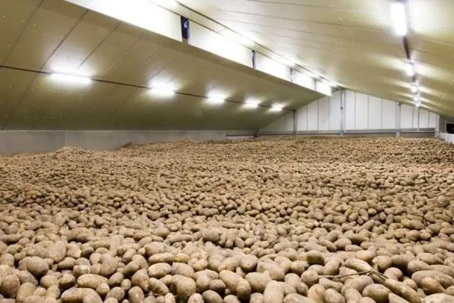 Премьер-министр Бектенов поручил акимам создать запасы продовольствия 